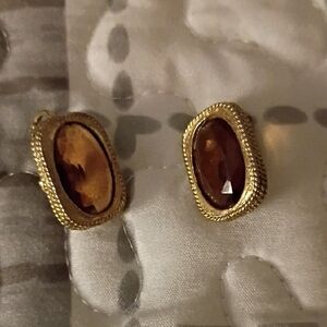 Elegant Gold and Brown Earrings